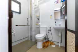 Blk 303A Anchorvale Link (Sengkang), HDB 4 Rooms #618324381